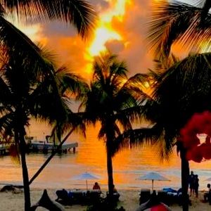 Meet your Posher, Cece